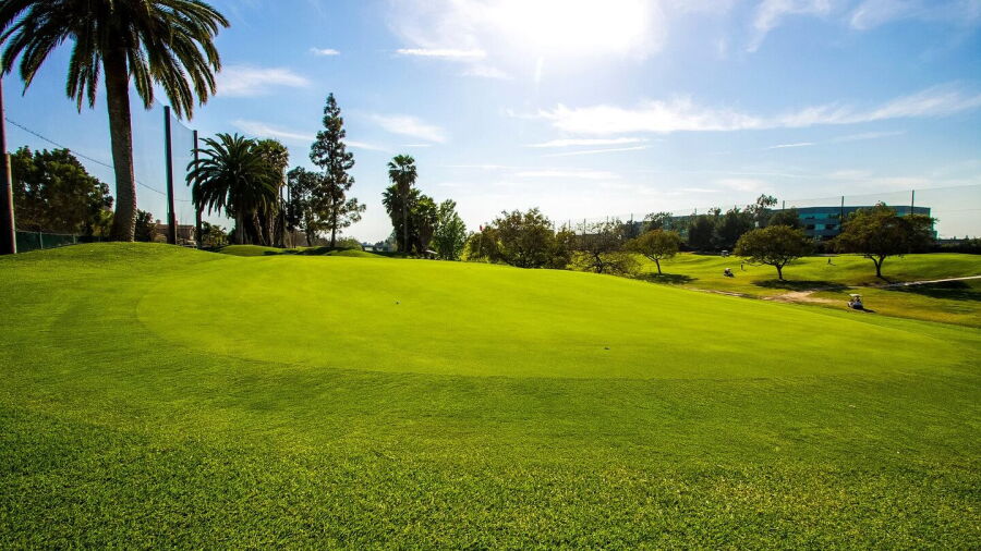 River View GC: #14