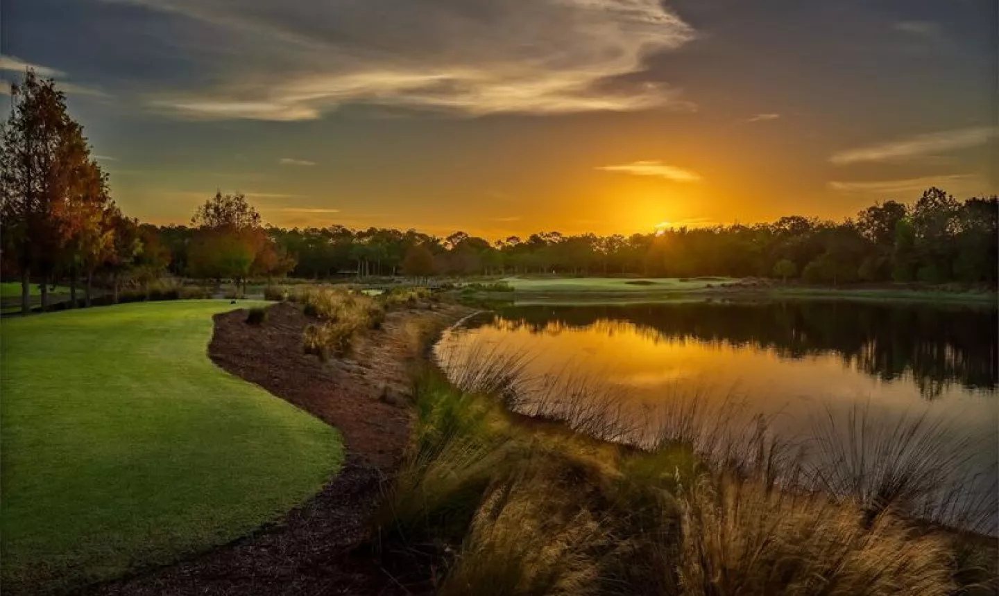 Tiburon Golf Club Black Course - no. 10