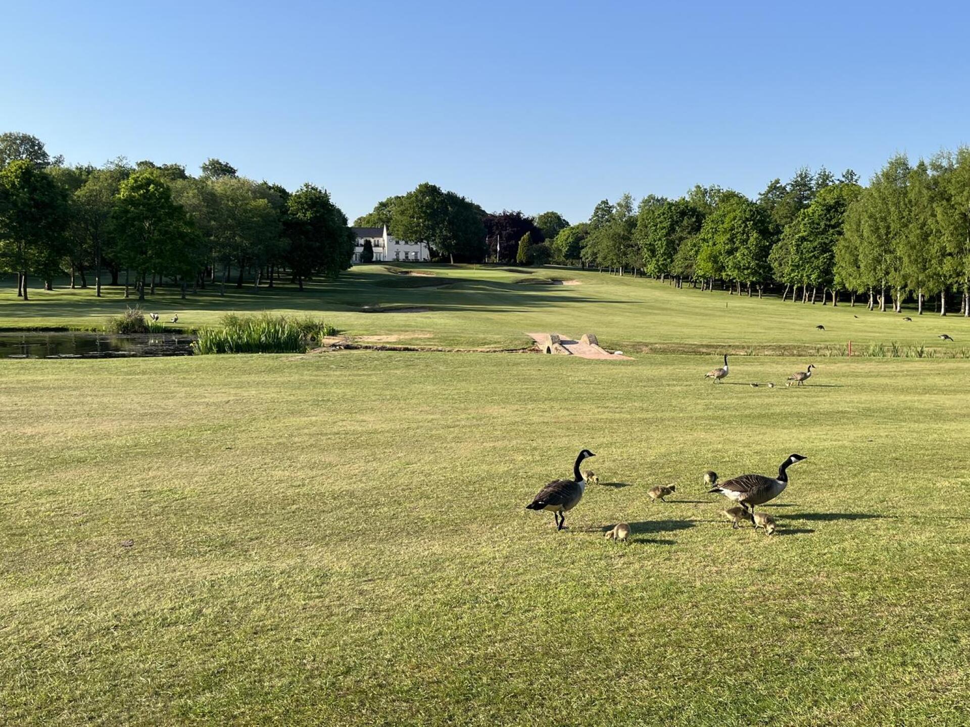 (Photo submitted by joewood97 on 05/12/2025)