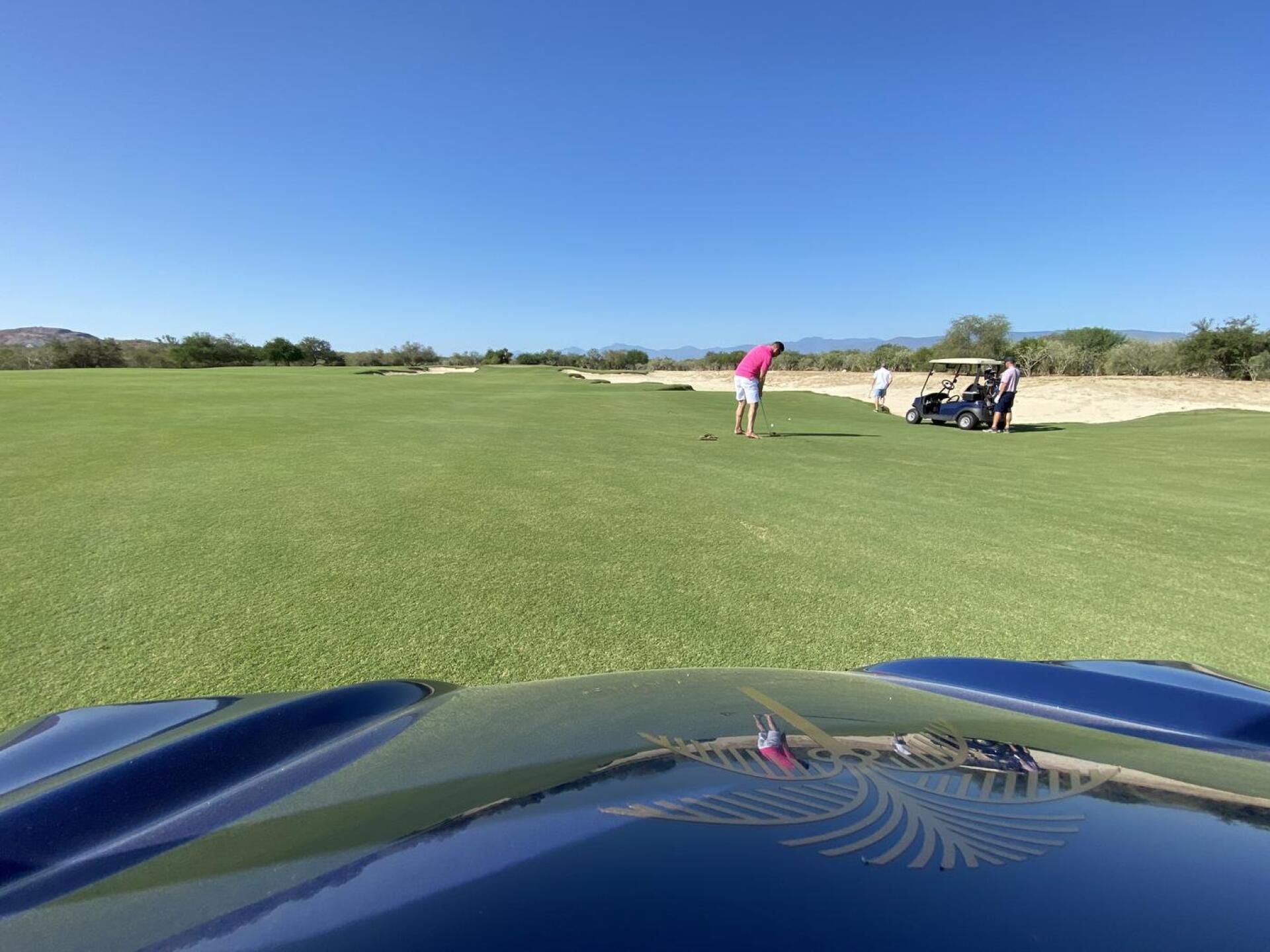 (Photo submitted by u000007113688 on 10/30/2020)