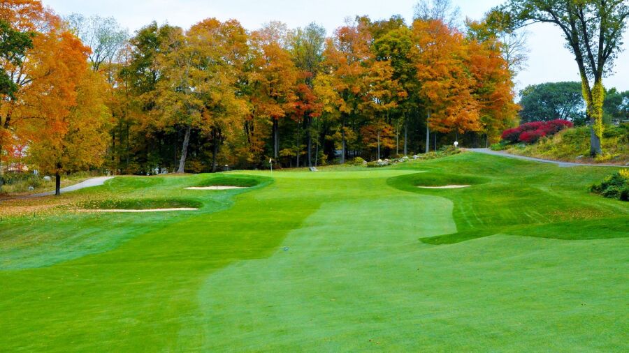CC of Waterbury: #13