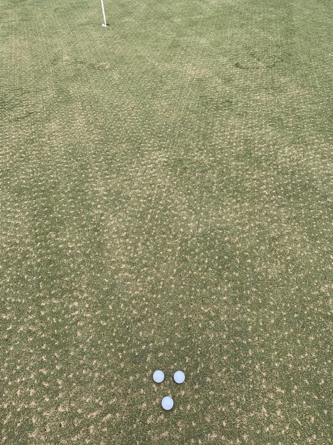 (Photo submitted by ColtonGolfer18 on 07/26/2023)