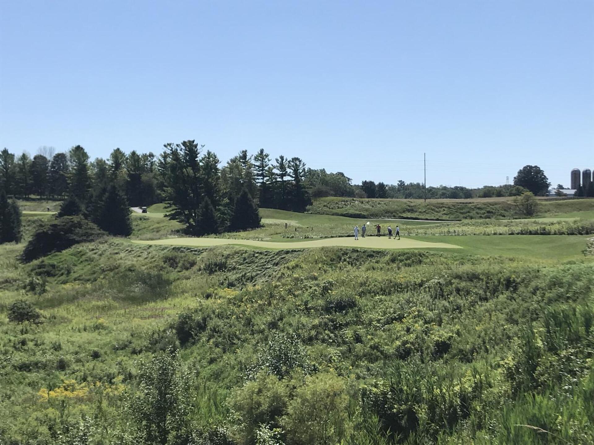 15 Green (Photo submitted by QuantumGolfx on 11/15/2021)