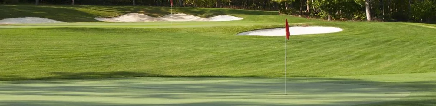 The GC at Lansdowne - Sharkbite