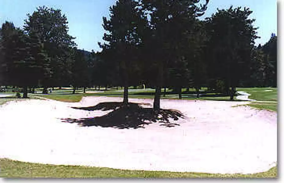 Lewis River: Fairway Bunker on #13 & #14