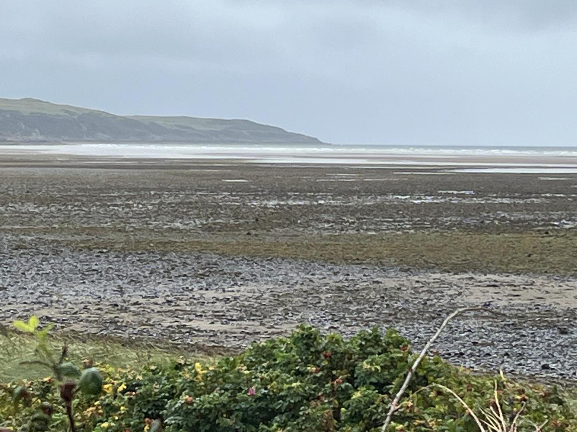 (Photo submitted by JCBOLDHAM1 on 08/29/2025)