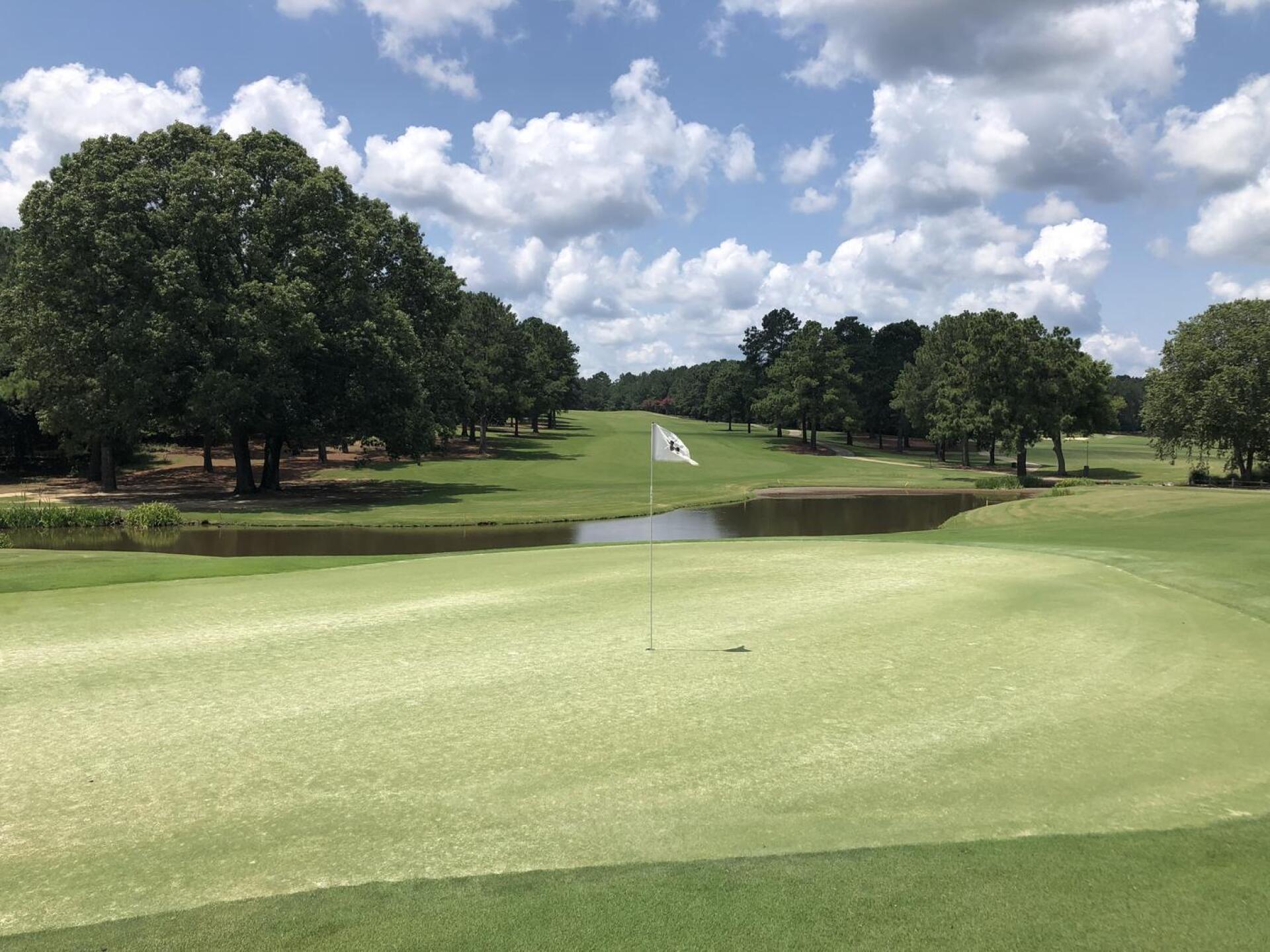 (Photo submitted by BrandonWebb on 07/18/2022)