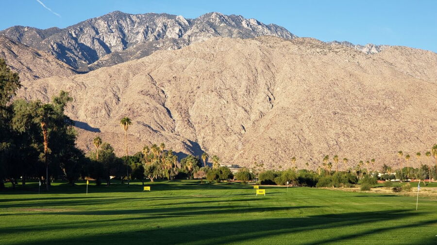 Mesquite GCC