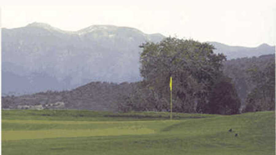 Hollydot GC
