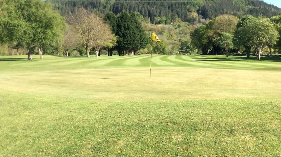 Betws-y-Coed GC: #8