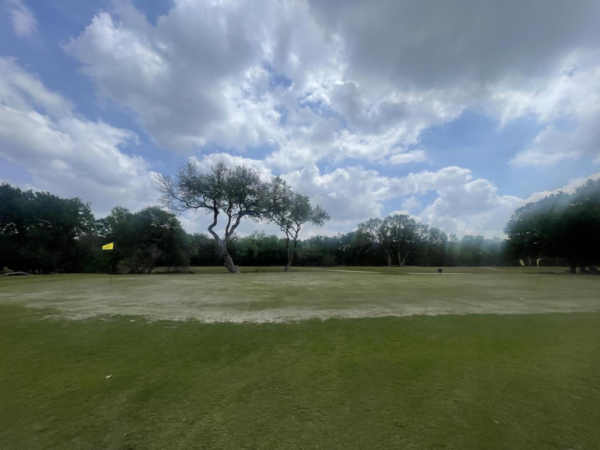 (Photo submitted by david5382335 on 04/01/2026)