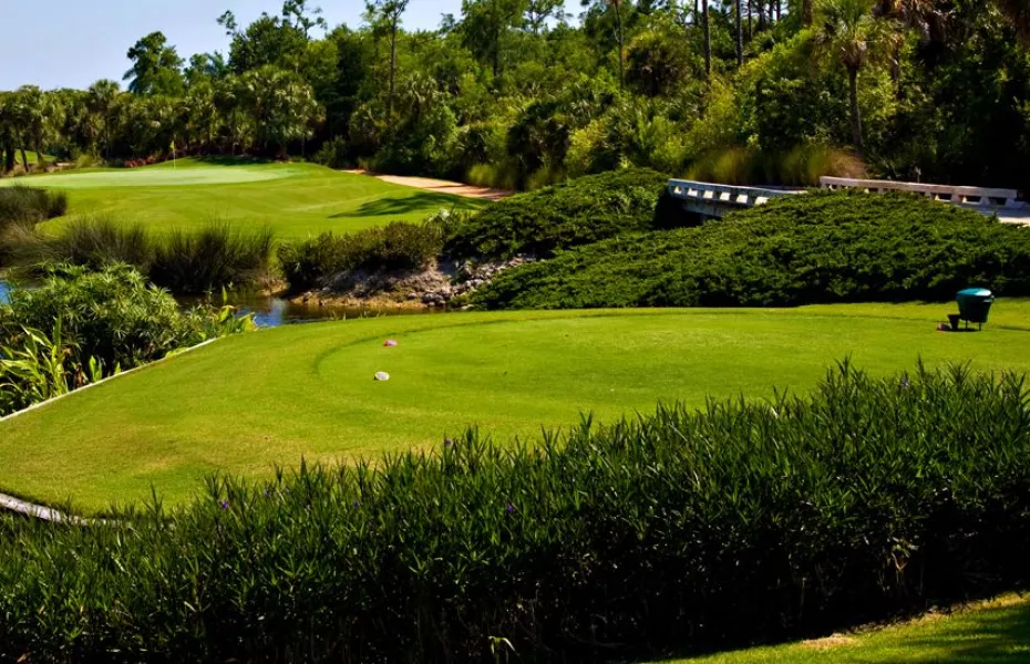 Grey Oaks CC - Estuary