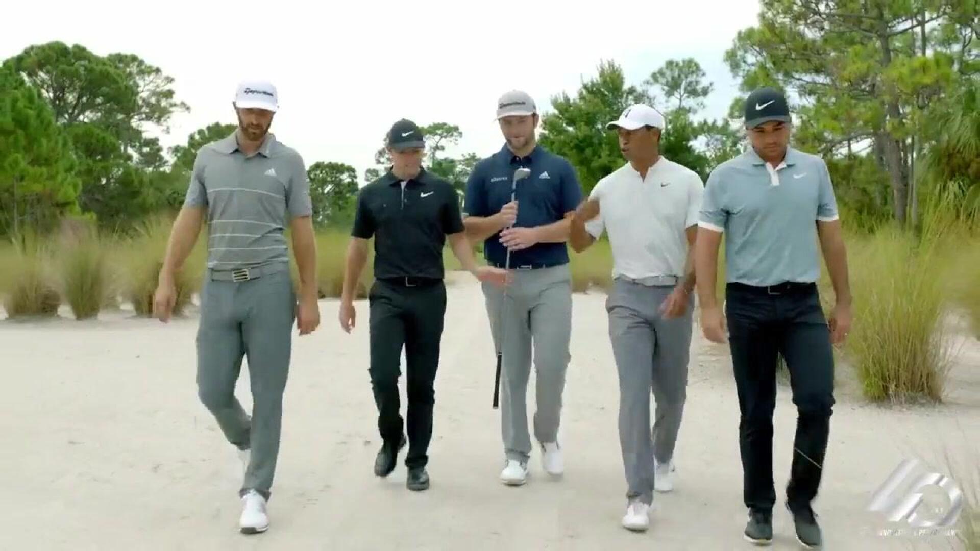 Metalwood Evolution with Tiger
