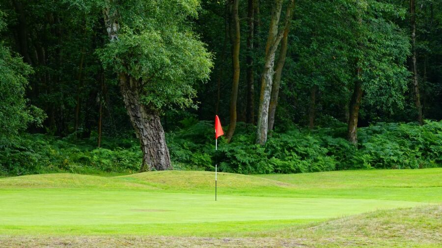 Chorleywood GC: #7