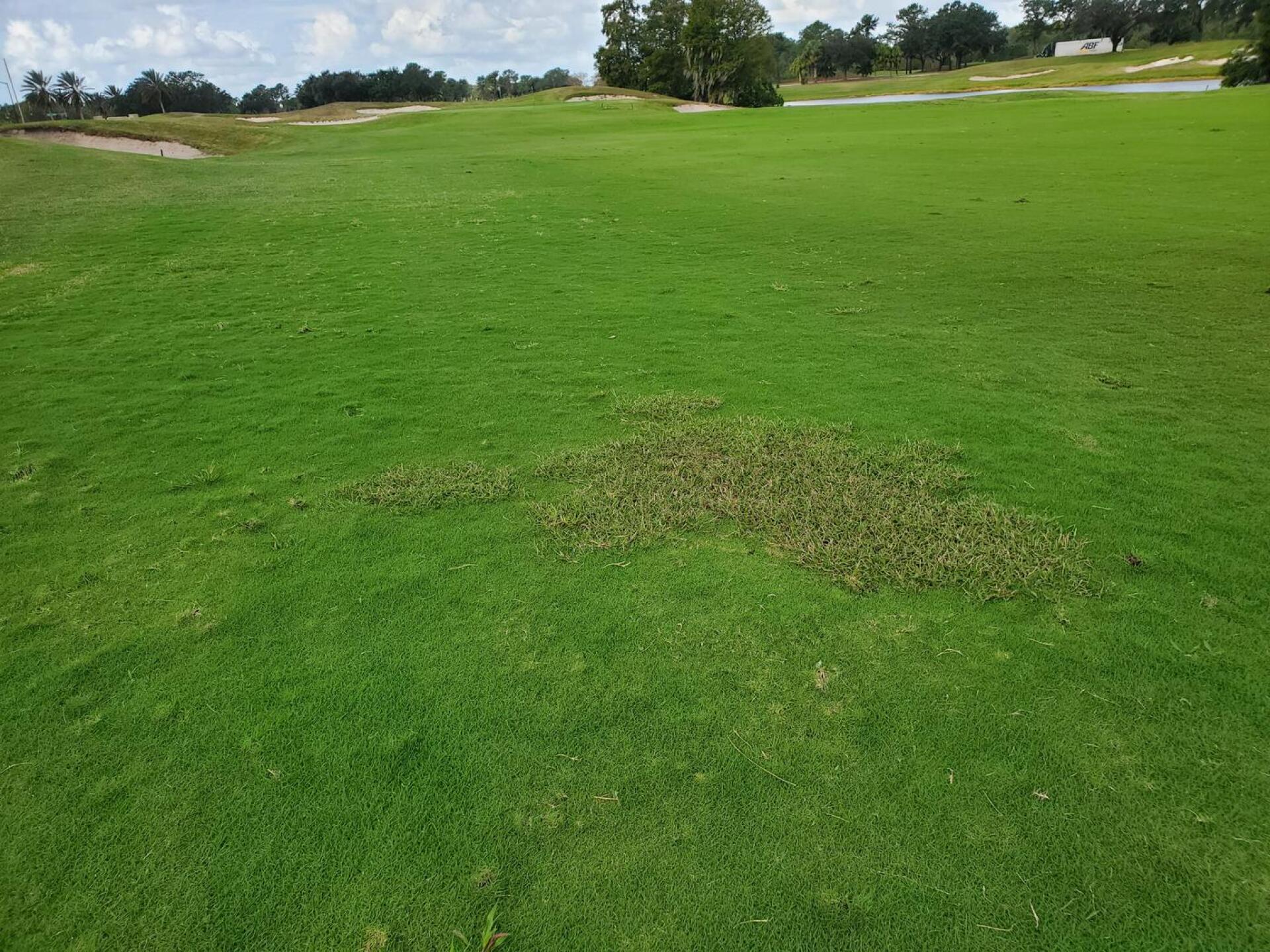 (Photo submitted by u000004020492 on 11/08/2022)