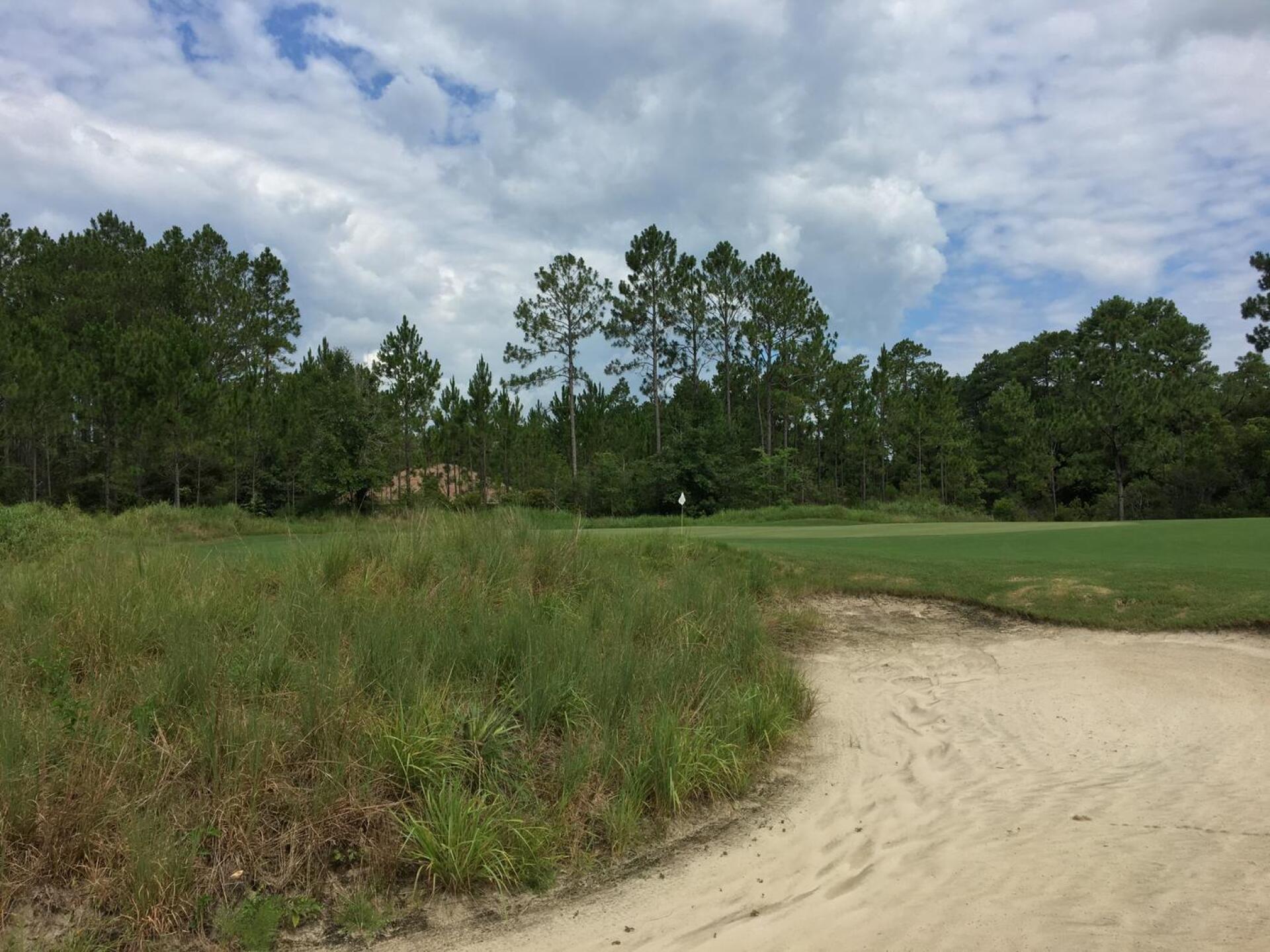 (Photo submitted by BrandonWebb on 07/10/2018)