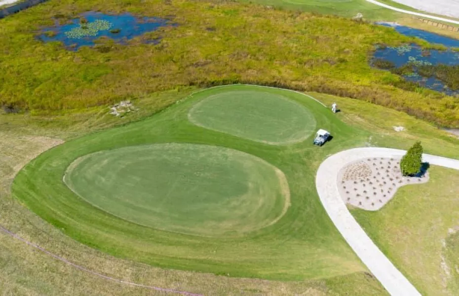 Honeysuckle at The Villages Executive Golf Trail