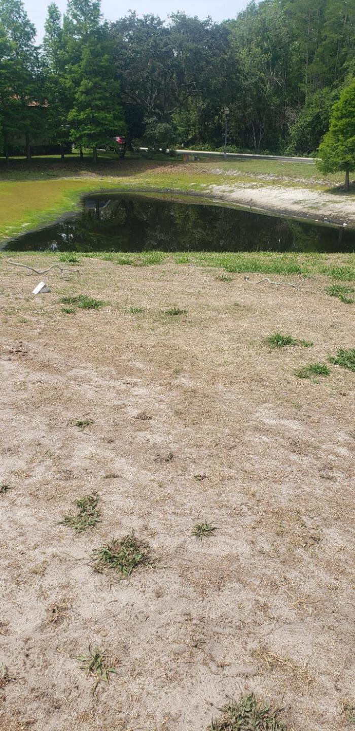 (Photo submitted by Jim3460282 on 05/13/2023)