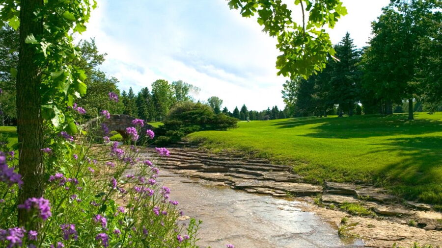 Hilly Haven GC: #6