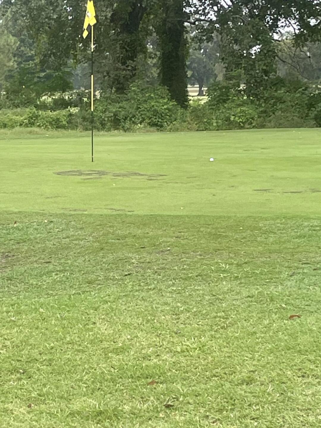 (Photo submitted by BowieXLVofthe501 on 09/28/2024)