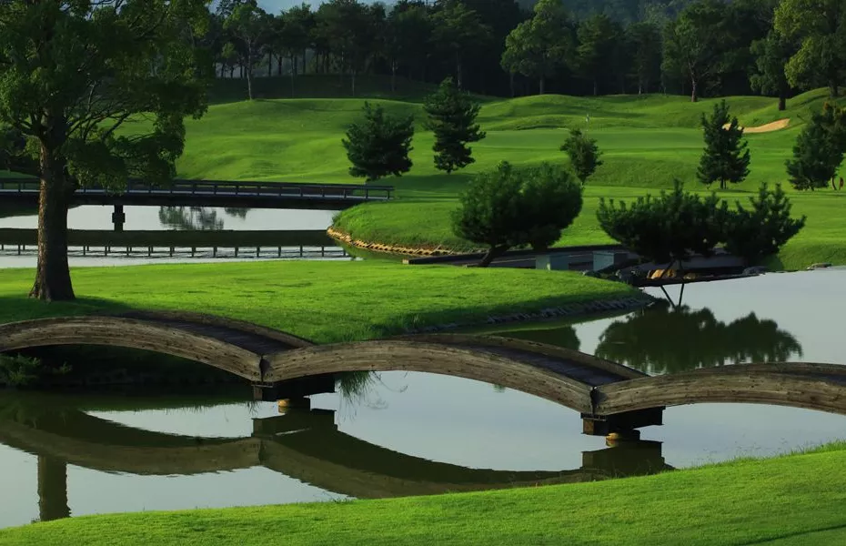 Tojonomori63 CC - Ujo