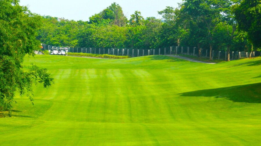 Forest Hills GCC