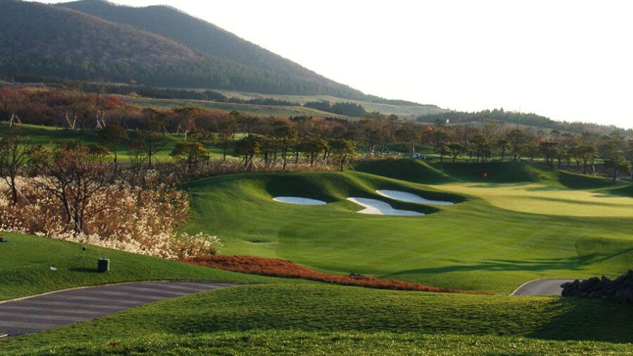 Elysian CC Jeju - Pine: #7
