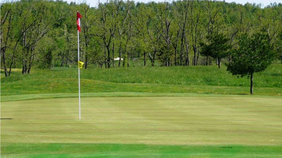 Honey Creek GC: #11