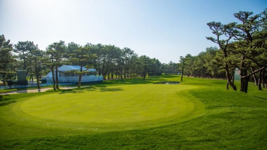 Phoenix CC - Sumiyoshi: #8