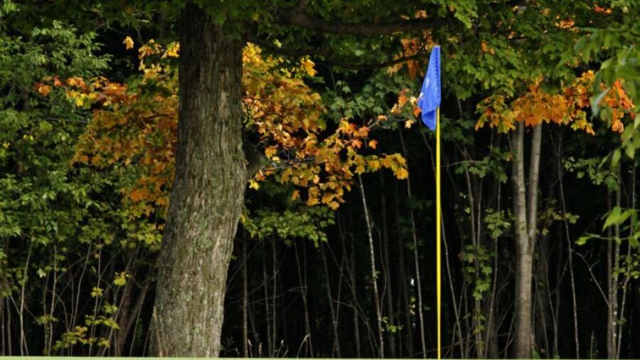 Stone Tree GC