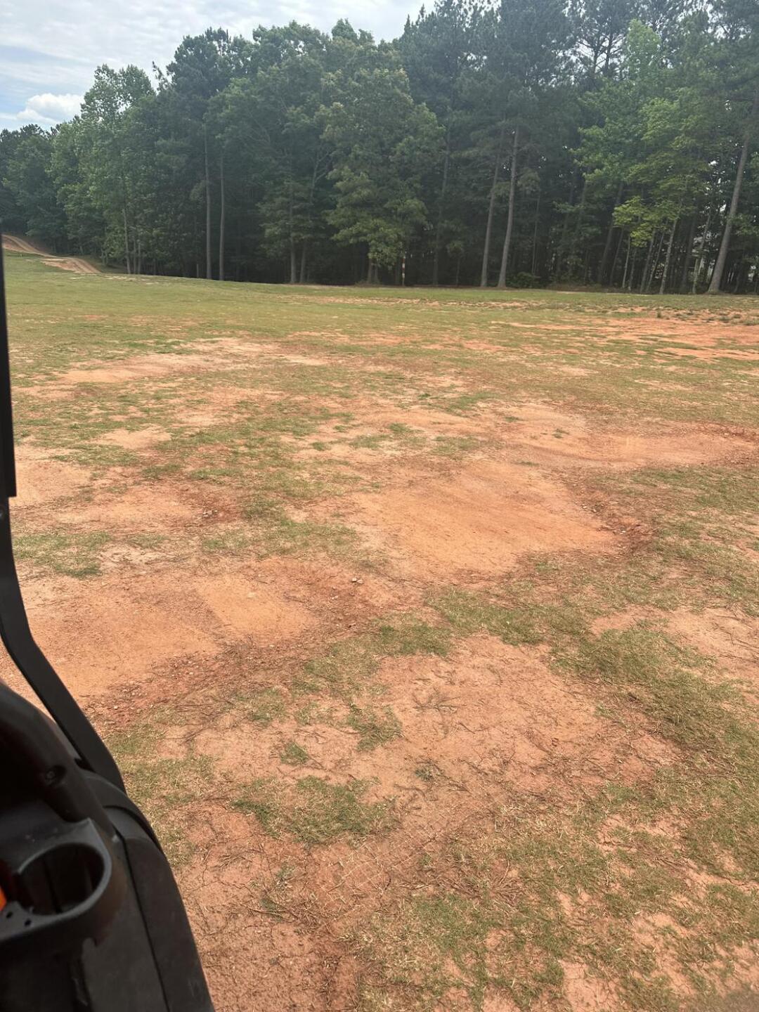 (Photo submitted by u767056853 on 06/09/2024)