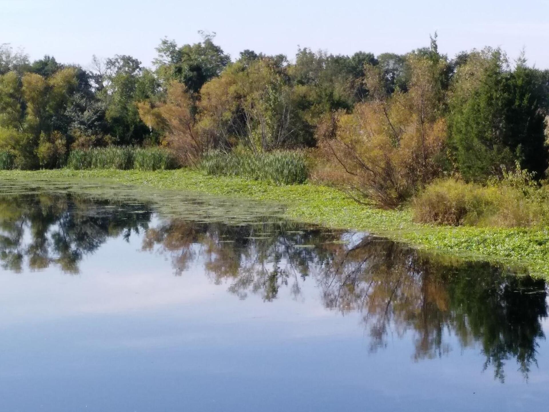 (Photo submitted by sixeagles on 09/18/2018)