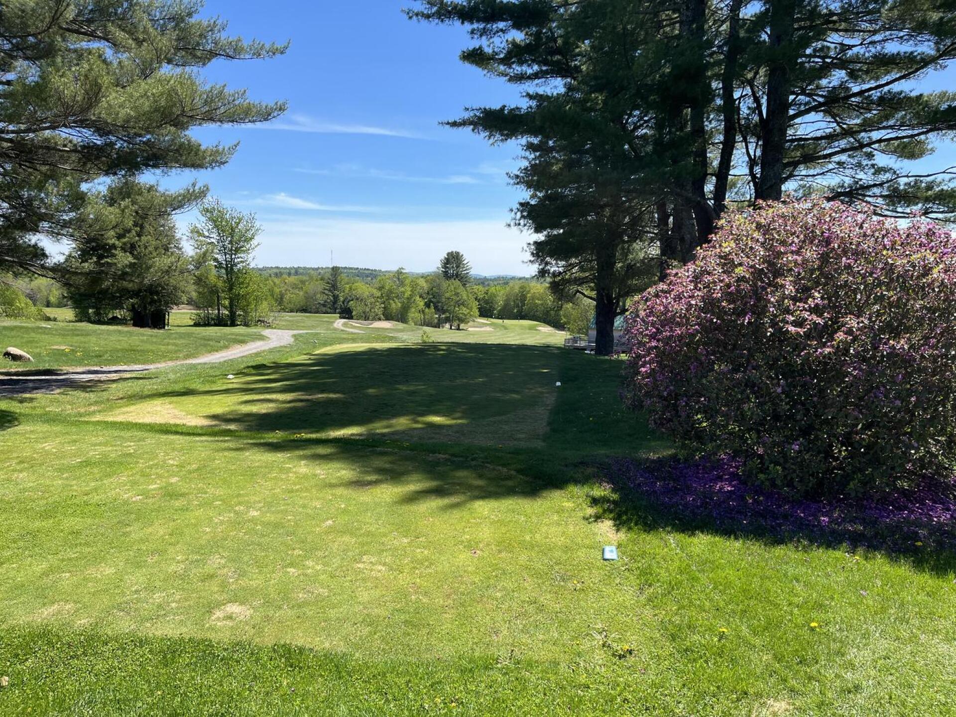 (Photo submitted by eVooU80Q2miaz5jAK4Qm on 05/22/2026)