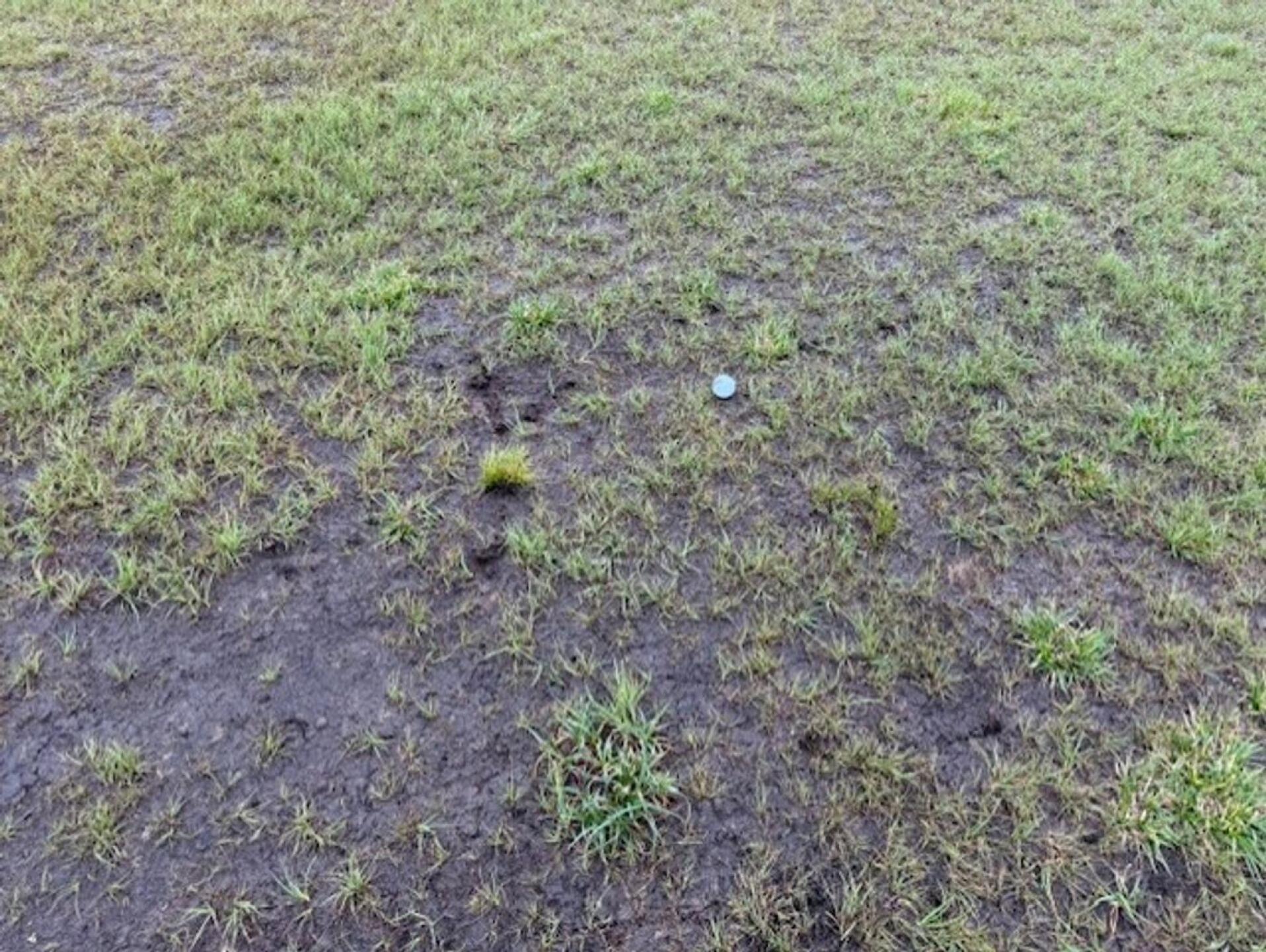 (Photo submitted by TonyFour on 08/10/2025)