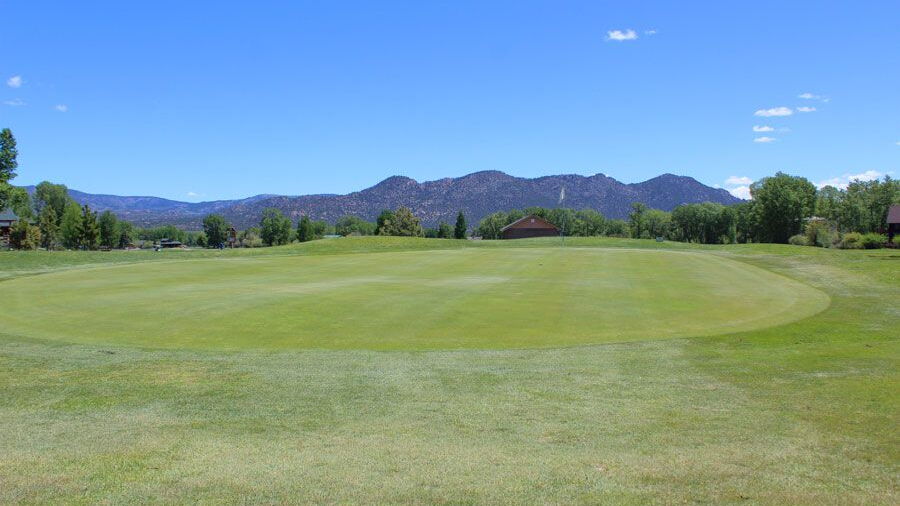 Collegiate Peaks GC: #4