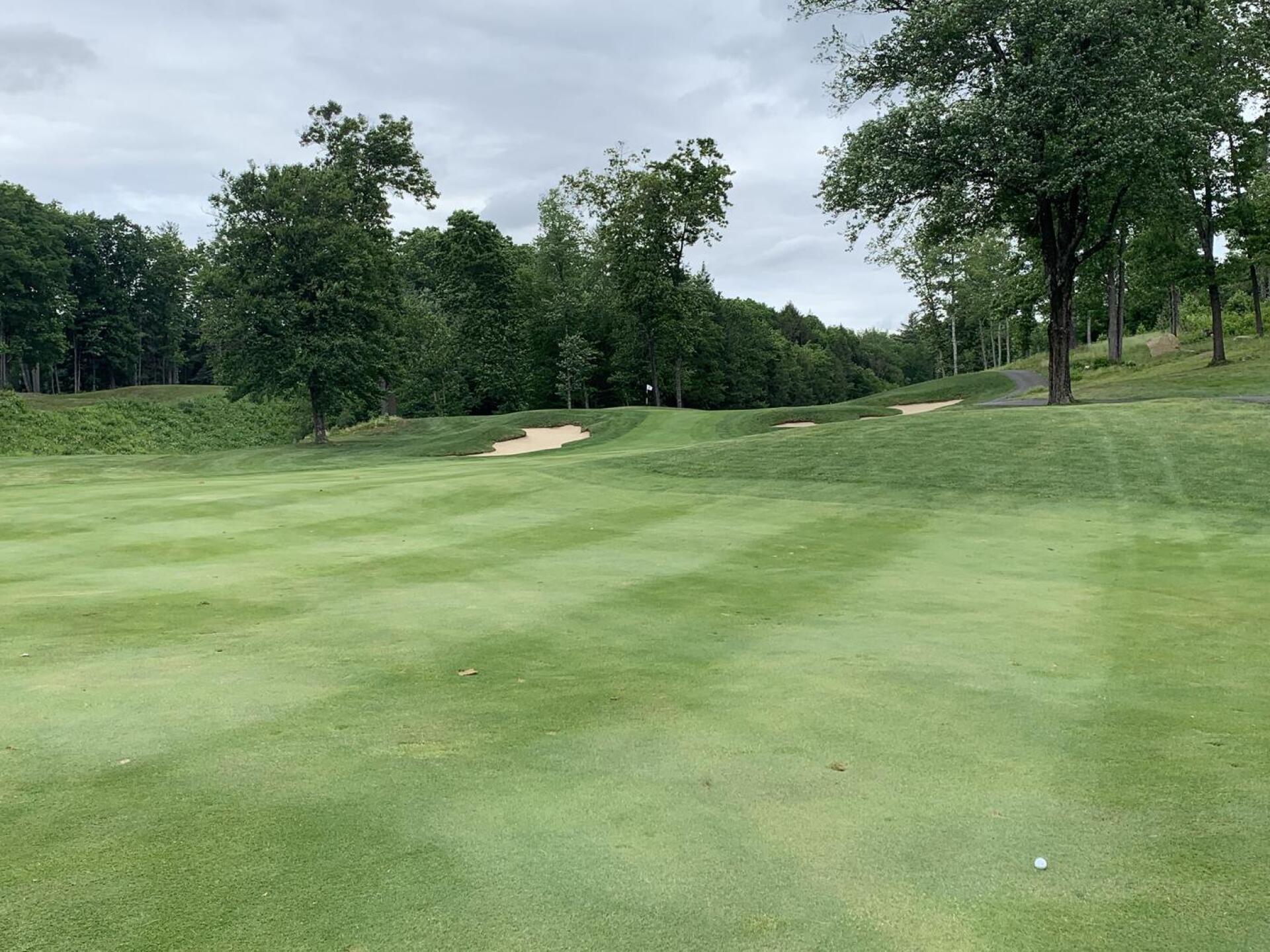 (Photo submitted by gyelton55 on 06/17/2022)