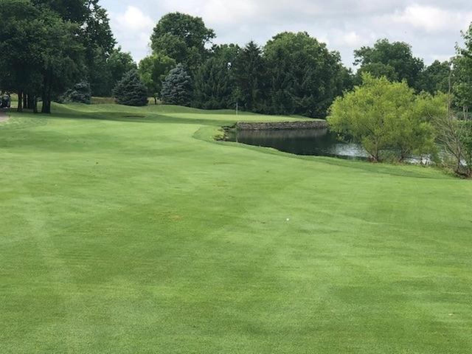 #7  Fairway (Photo submitted by Duvy on 06/25/2018)