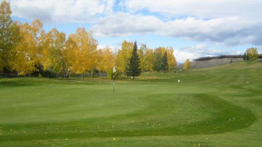 Cochrane GC