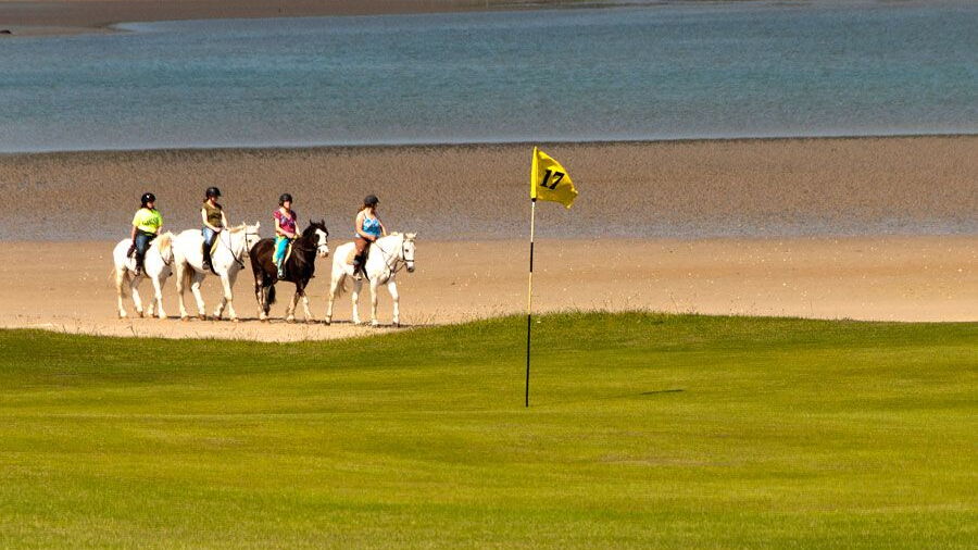 Dunfanaghy GC: #17