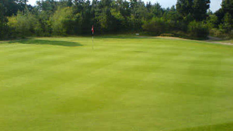 Ribe GC