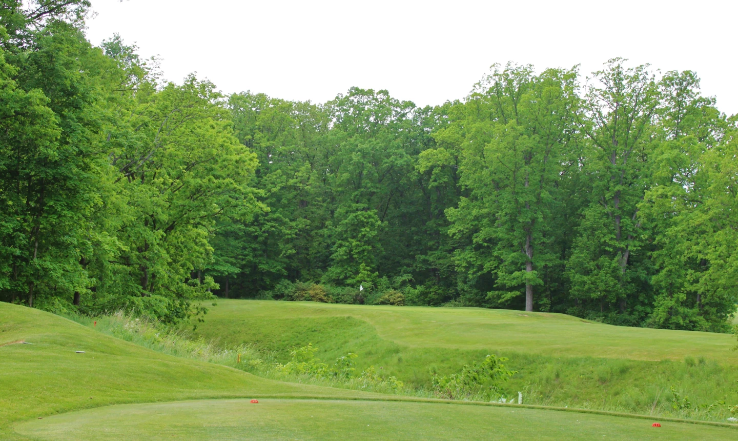 Sleepy Hollow Golf Course - 8th