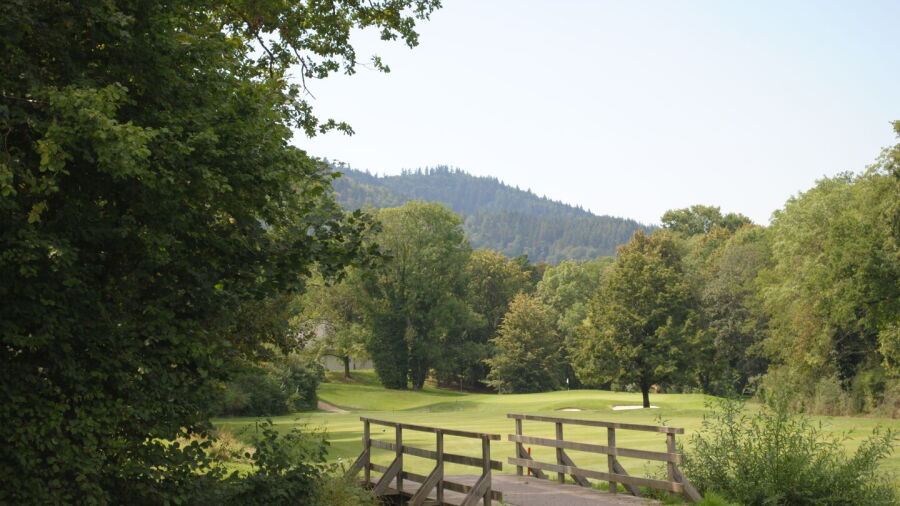 Freiburger GC: #8