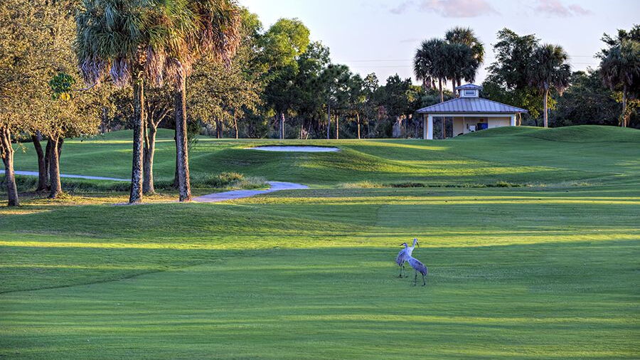Okeeheelee GC