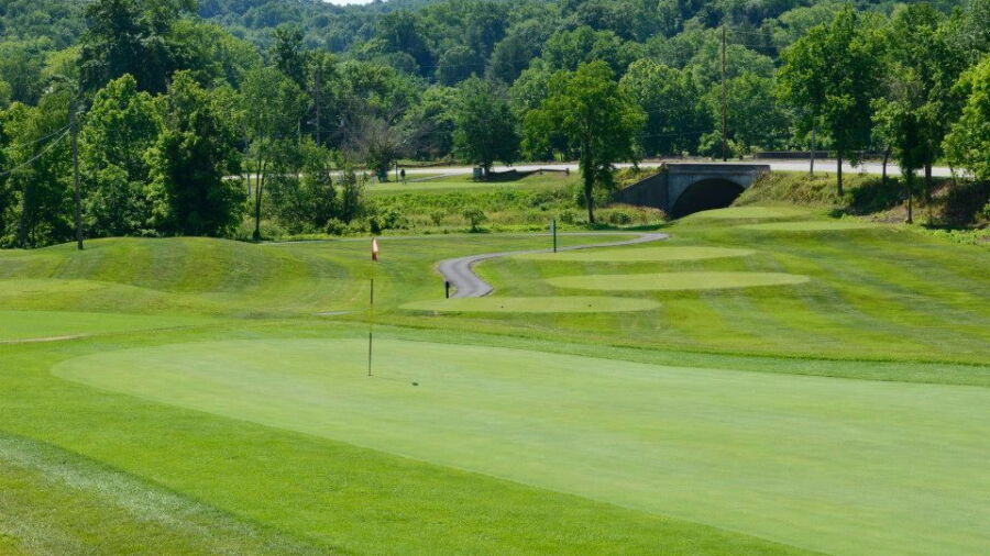 Lucas Oil GC
