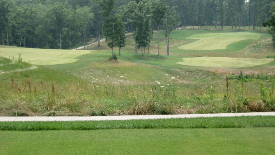 Mattaponi Springs GC: #11