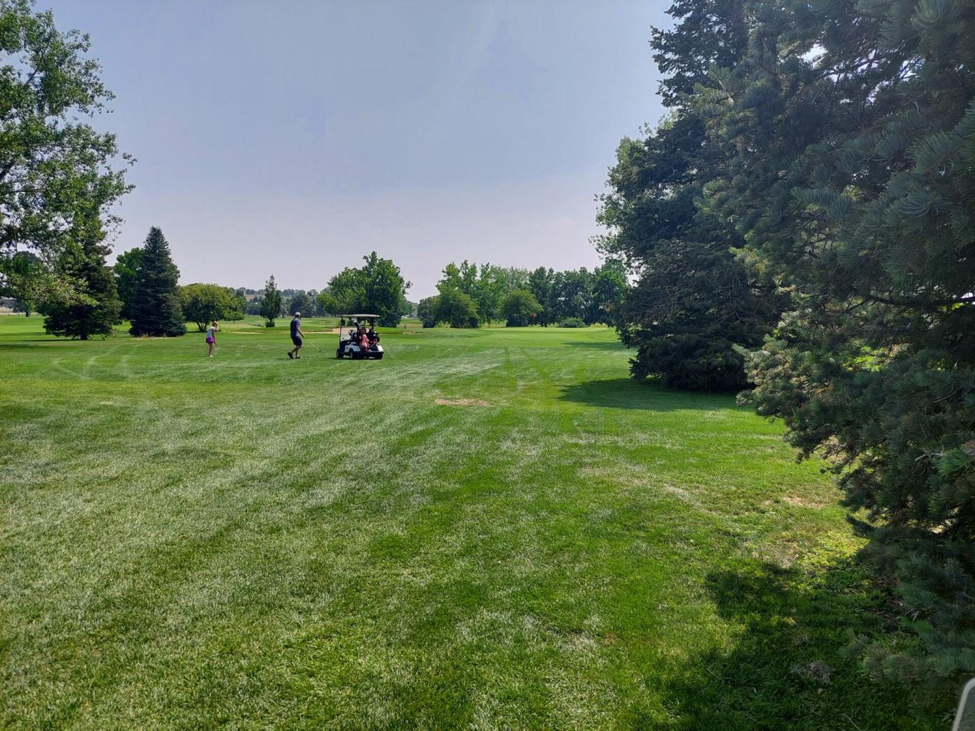 (Photo submitted by Golf4winn on 08/11/2021)