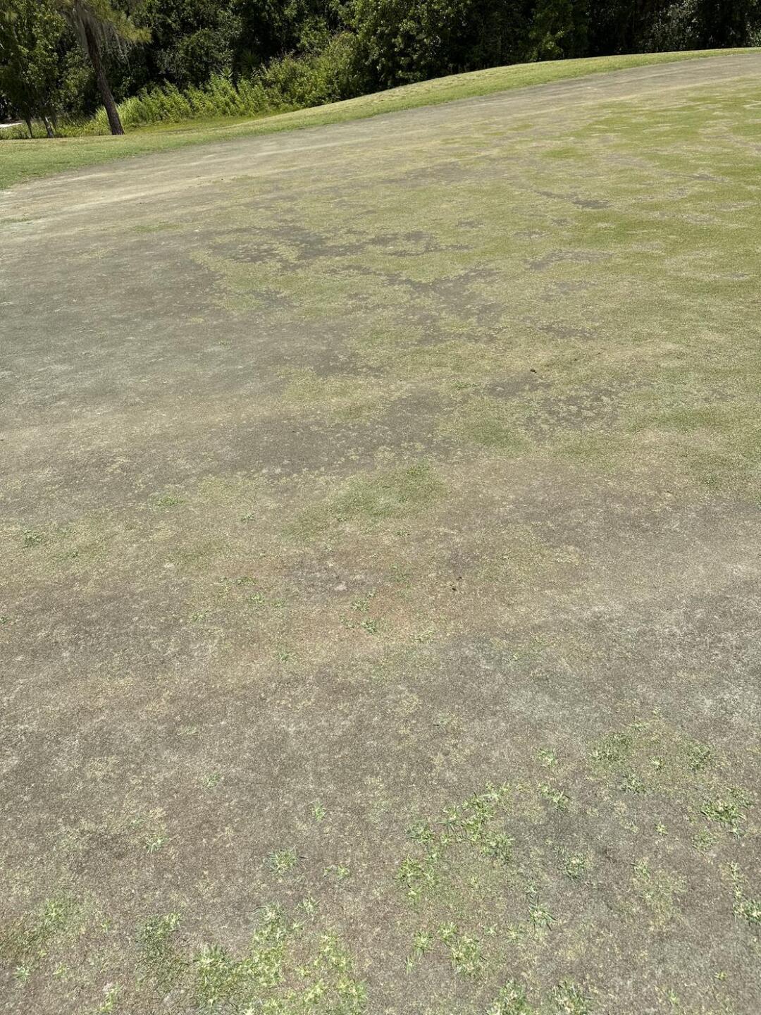 (Photo submitted by G9D2Y6qSCqhdgIIOy1hY on 04/22/2023)