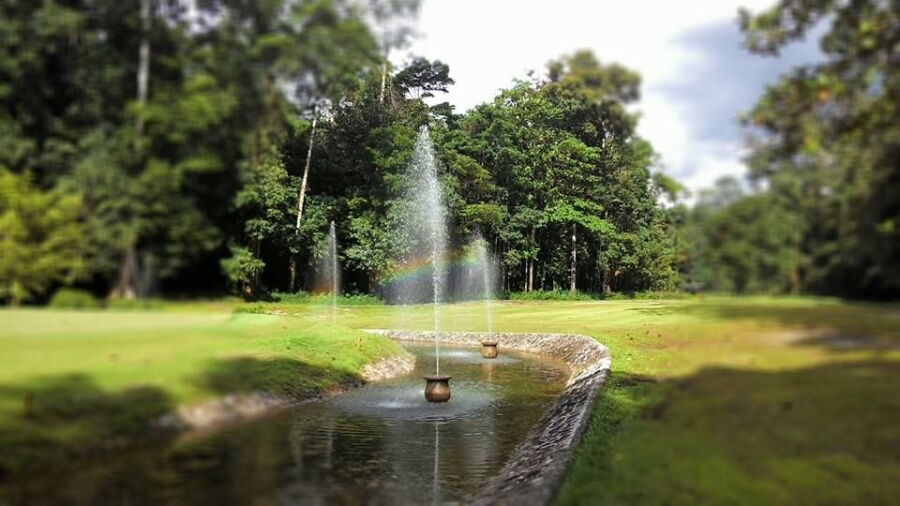 Rimba Irian GC: #6