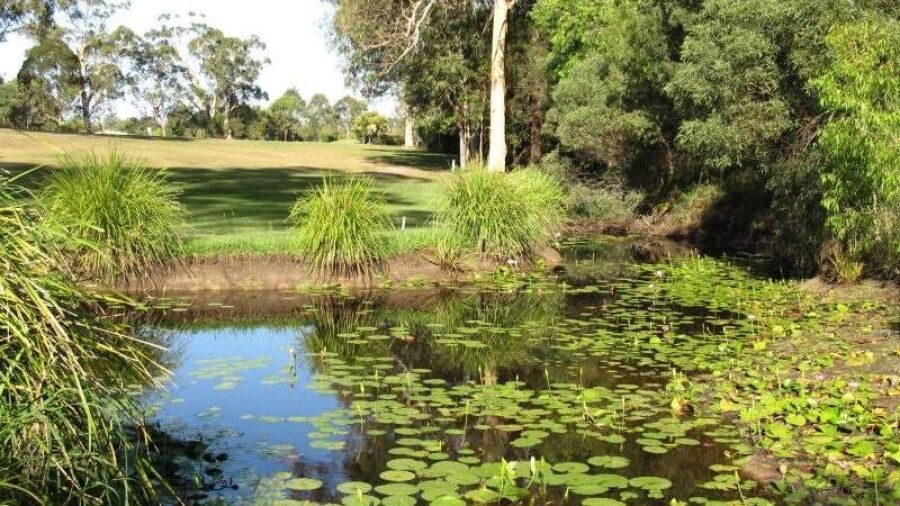Bay Island GC