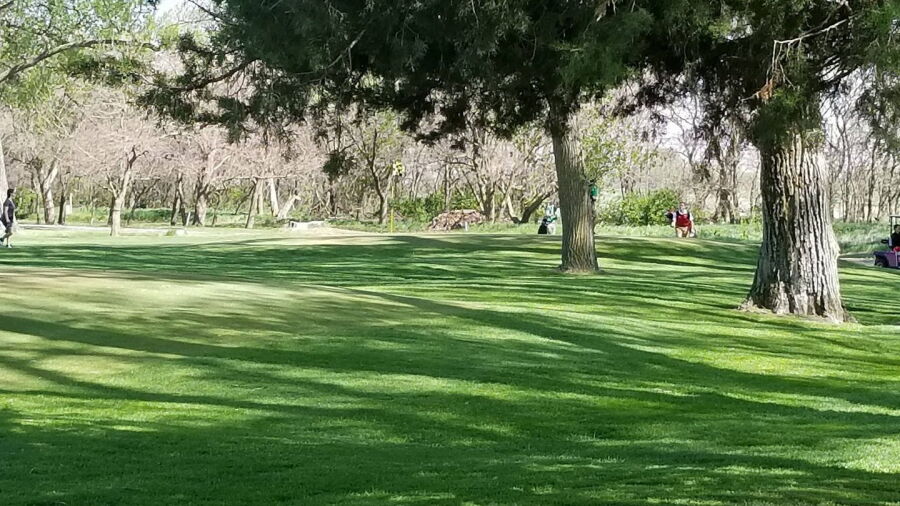 Cottonwood Greens GC